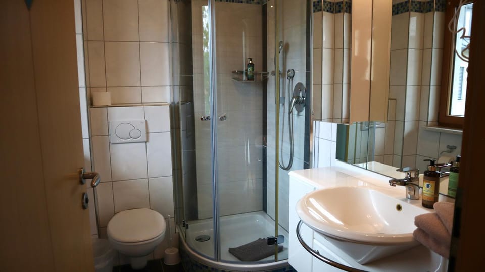 Shower, Toilet, Bathroom, towels