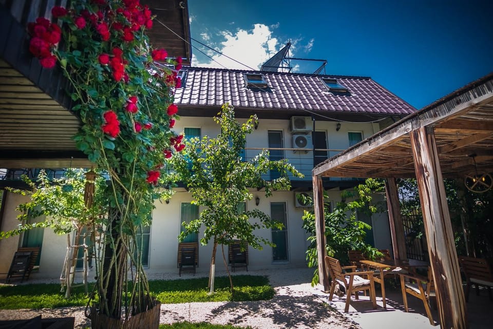Property building, Day, Garden