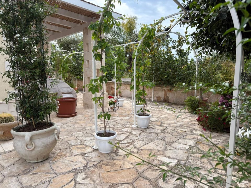Garden, Garden view