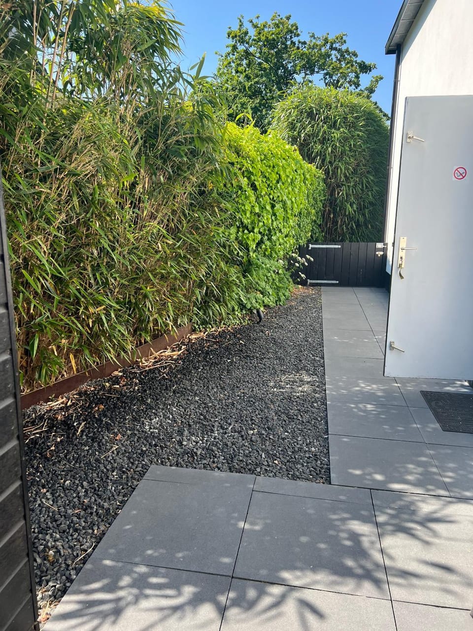Spring, Day, Garden, Garden view