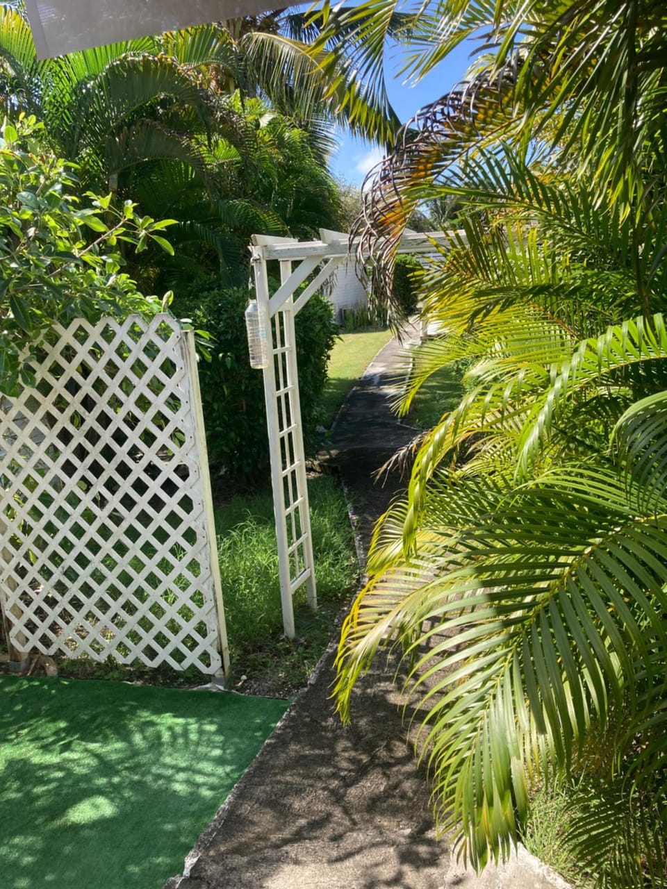 Garden view