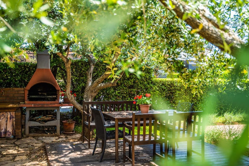 Patio, Garden, Garden view