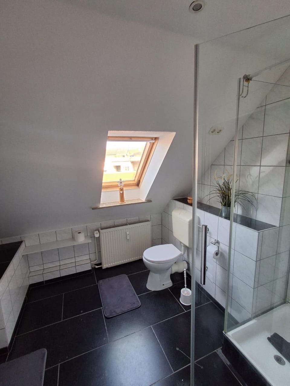 Shower, Toilet, Bathroom