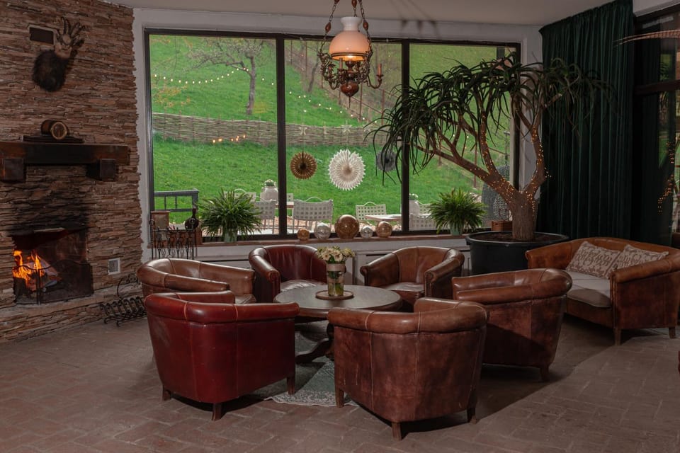 Garden, Living room, Seating area, Garden view