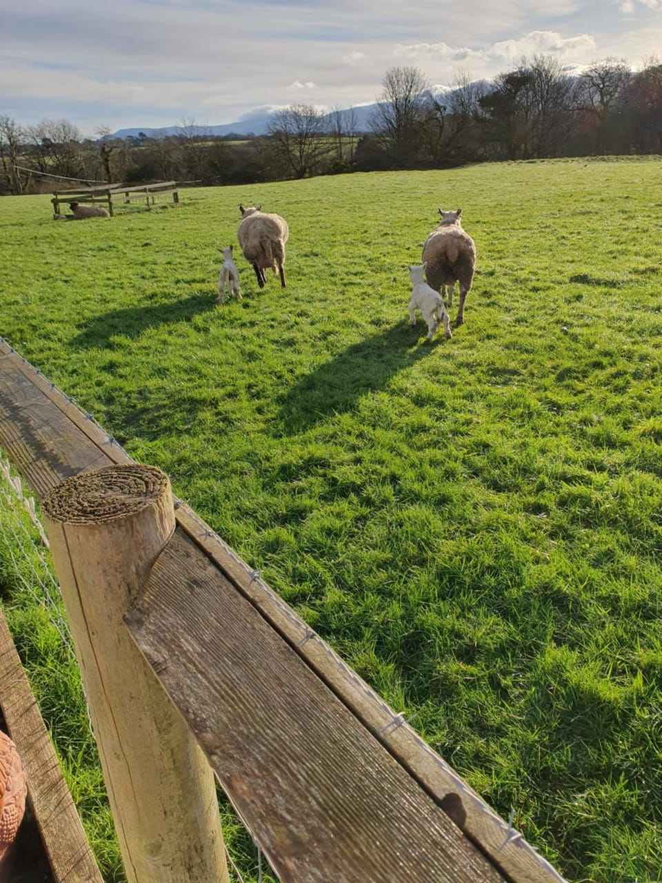 Fodol Cottages House in Wales