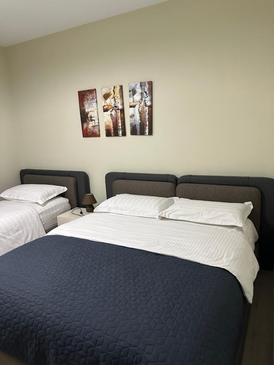 Brilant Apartament Apartment in Tirana