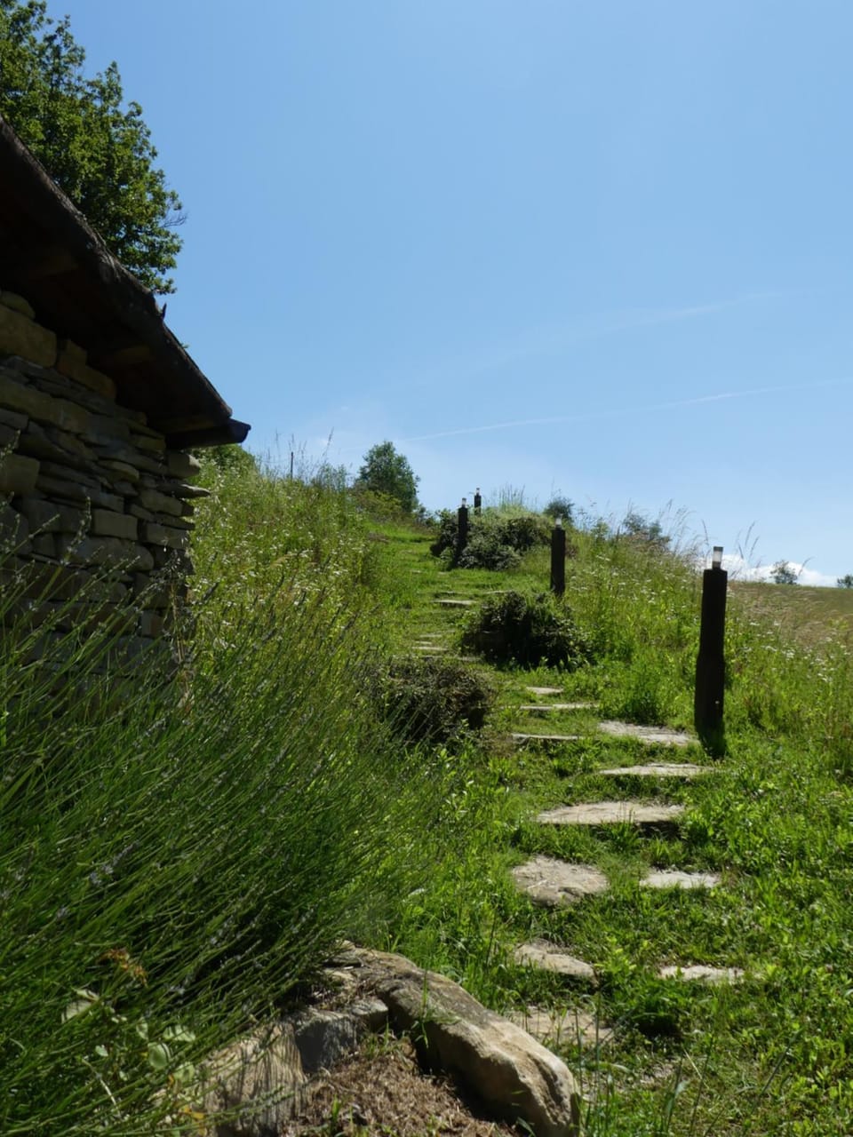 Garden, Swimming pool, Swimming pool