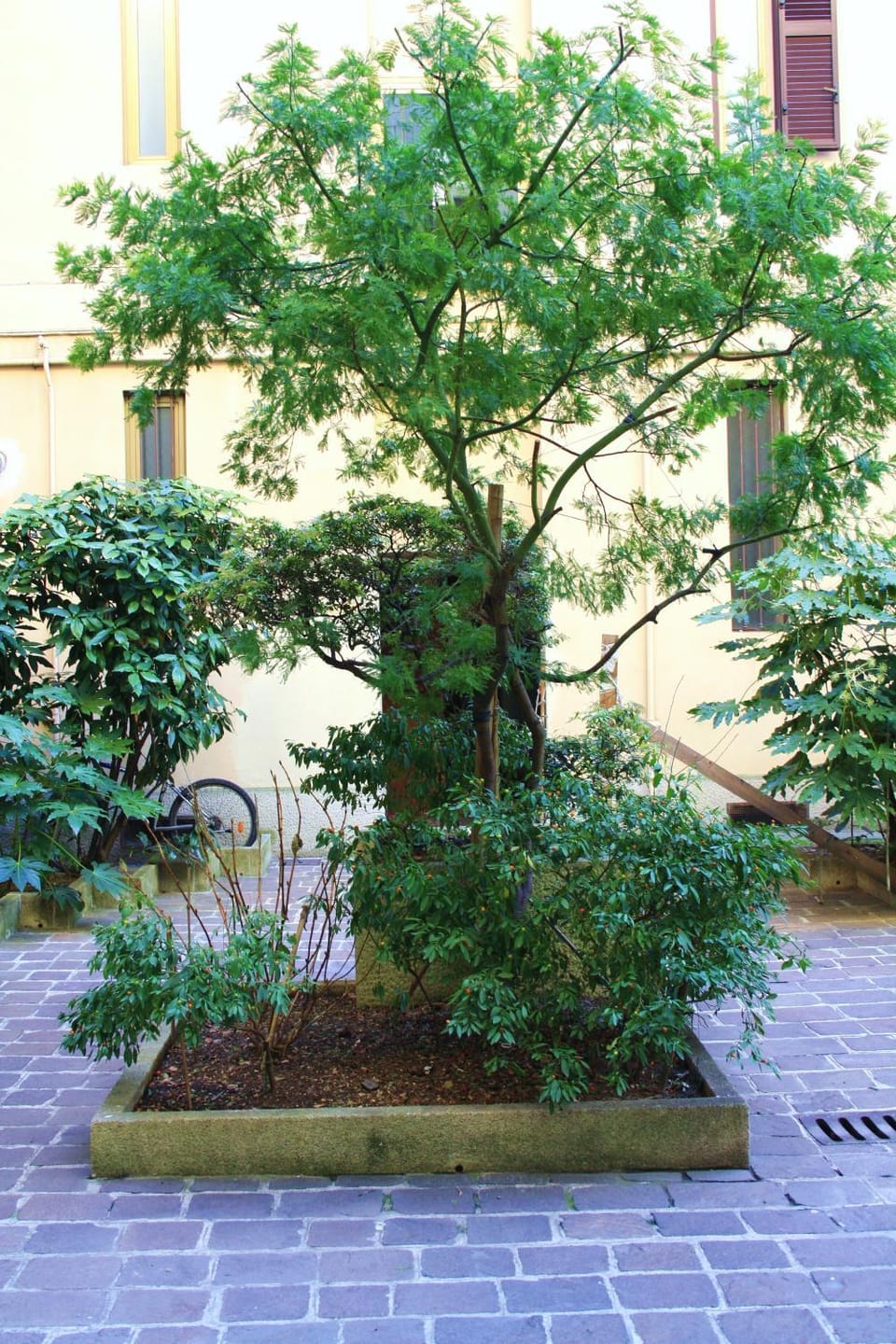Facade/entrance