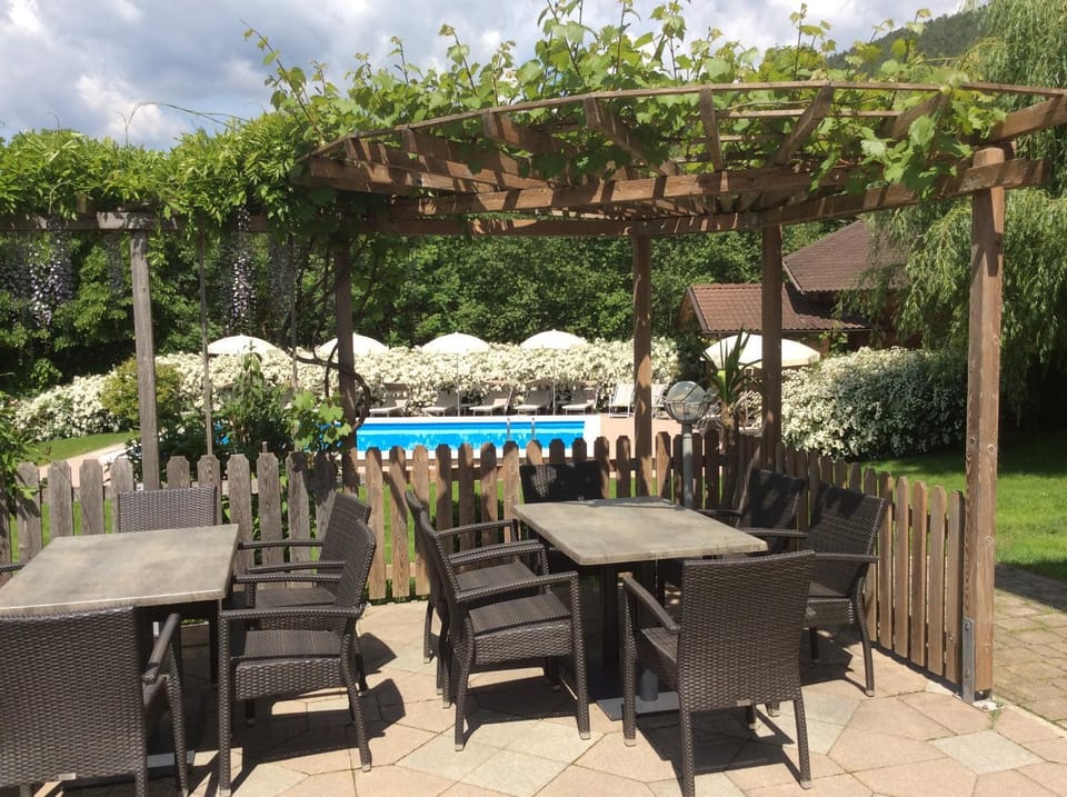 Pool view, Swimming pool