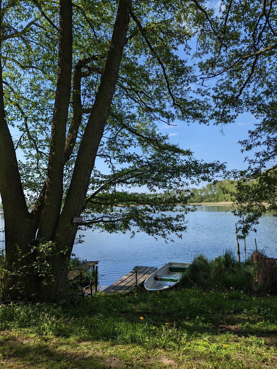 Lake view