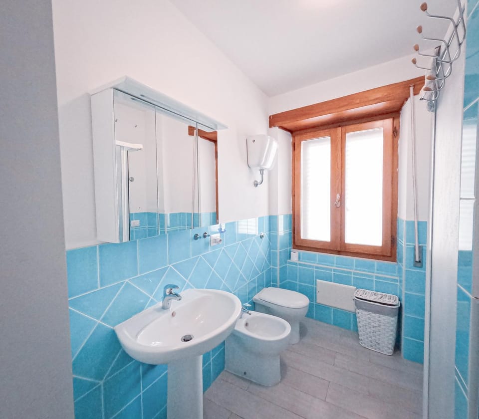 Shower, Toilet, Bathroom, bidet