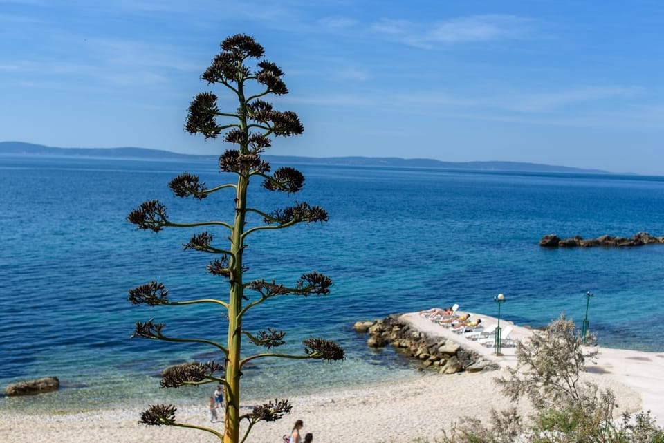 View (from property/room), Beach