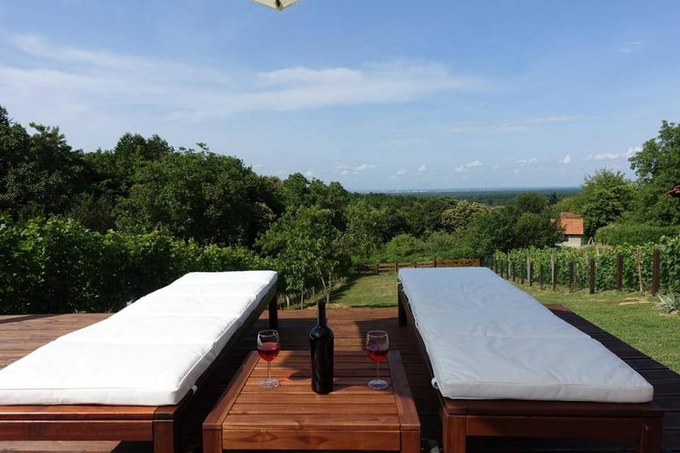 Holiday home Podgaj House in Croatia