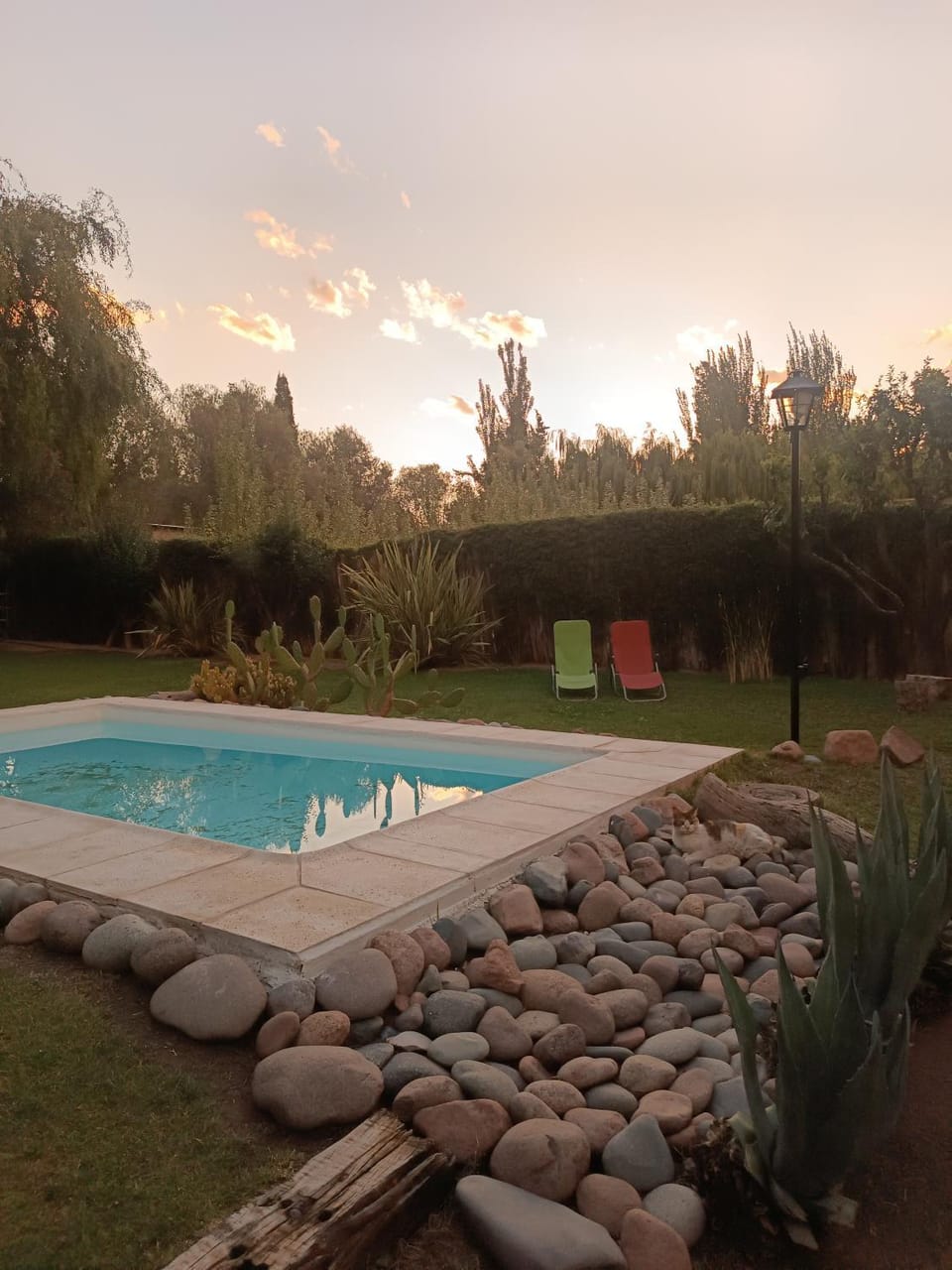 Natural landscape, Garden, Garden view, Pool view, Swimming pool, Sunset, sunbed