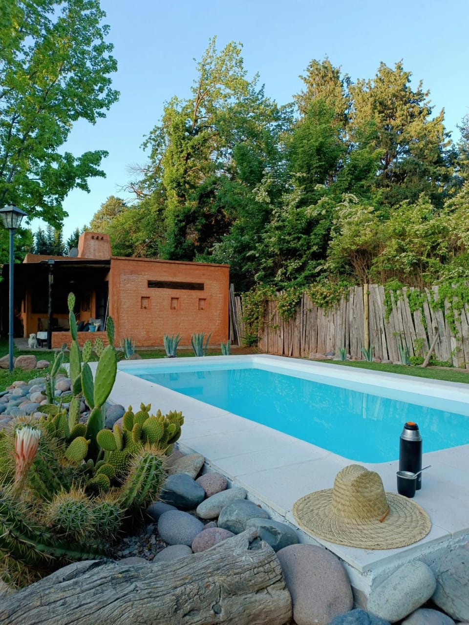 Garden, Garden view, Swimming pool