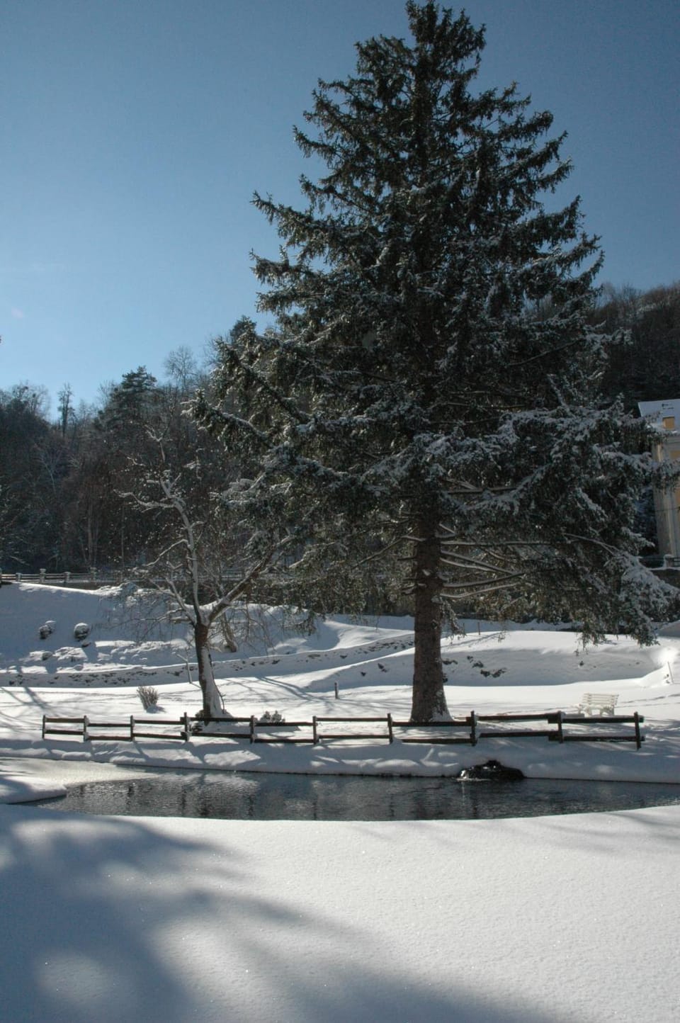 Winter, Garden view