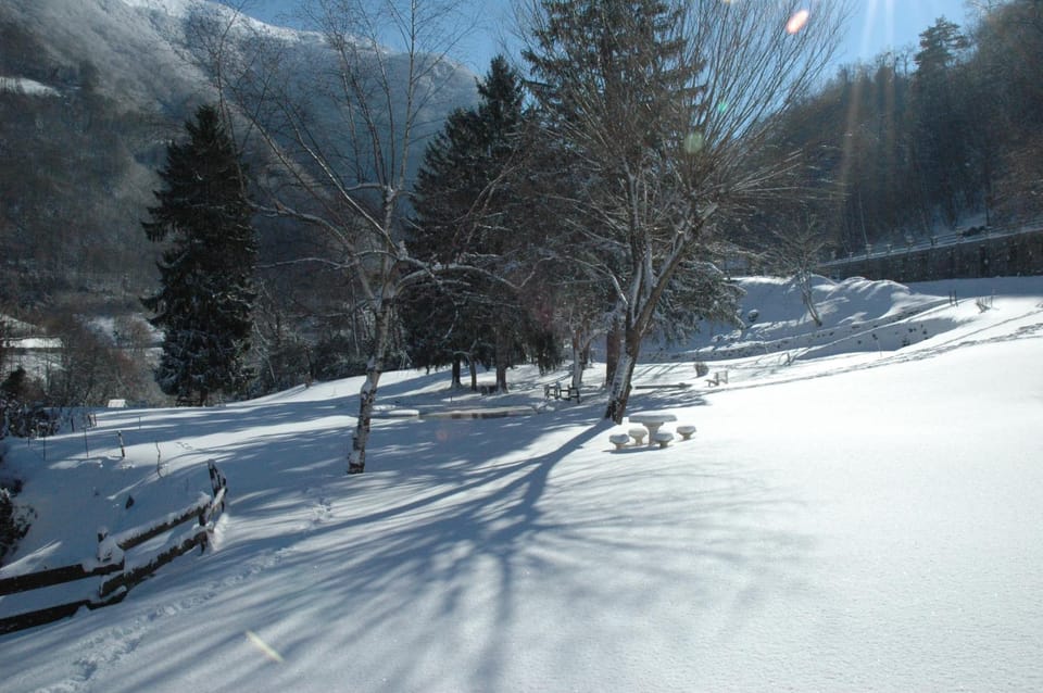 Winter, Garden