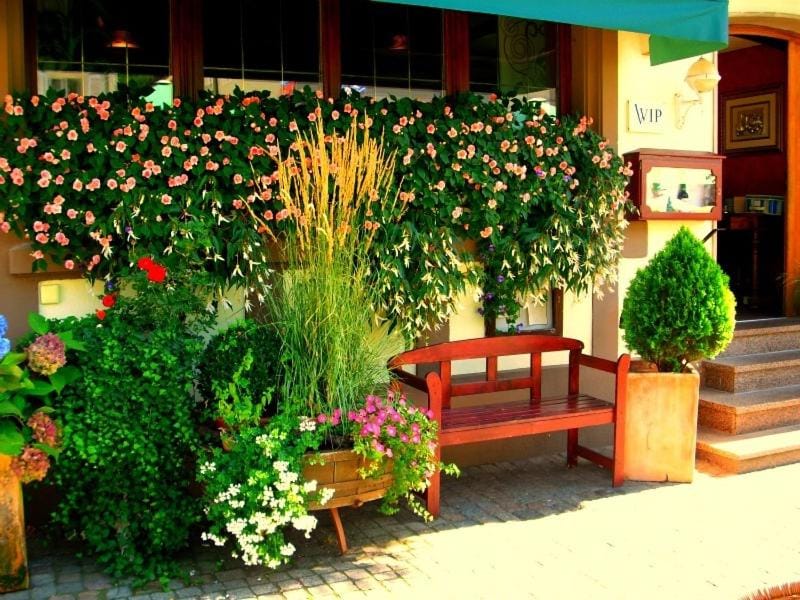 Patio, Spring