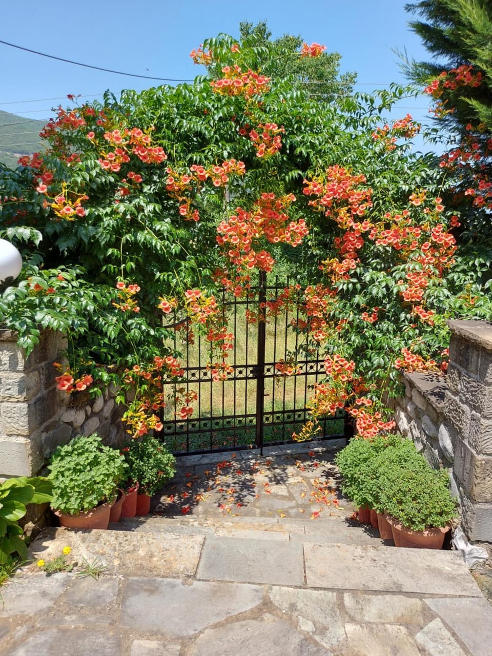 Garden, Garden