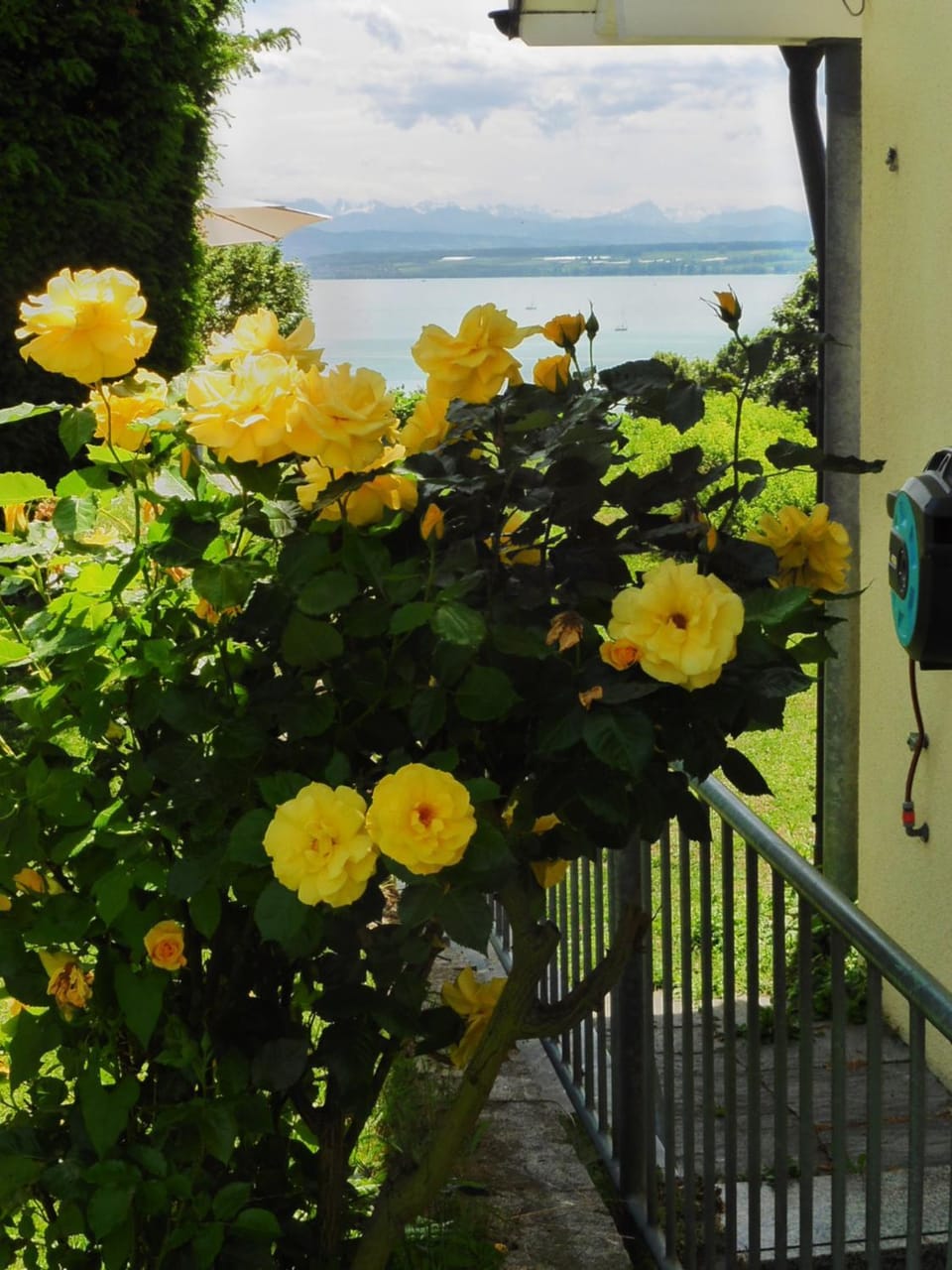 Internal: Not applicable to any particular room