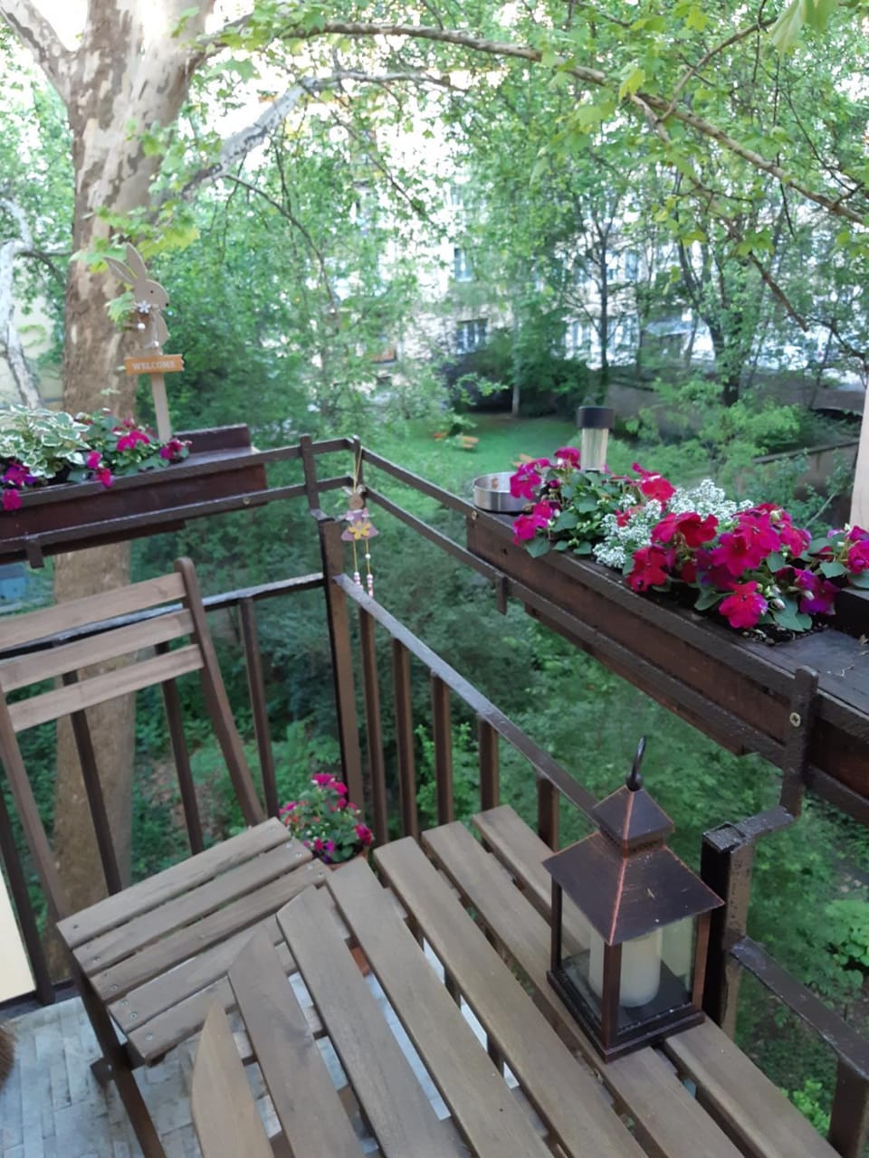 Garden, Garden view, Garden view