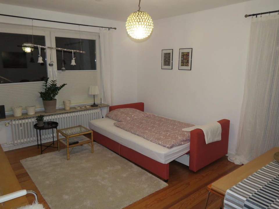 Living room, Photo of the whole room