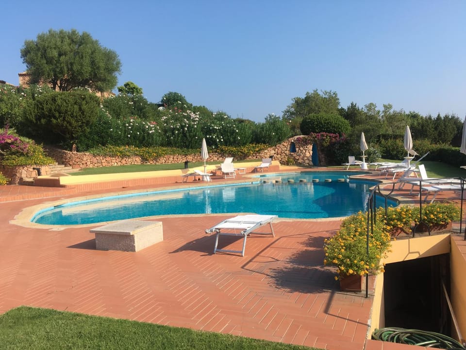 Swimming pool, Swimming pool