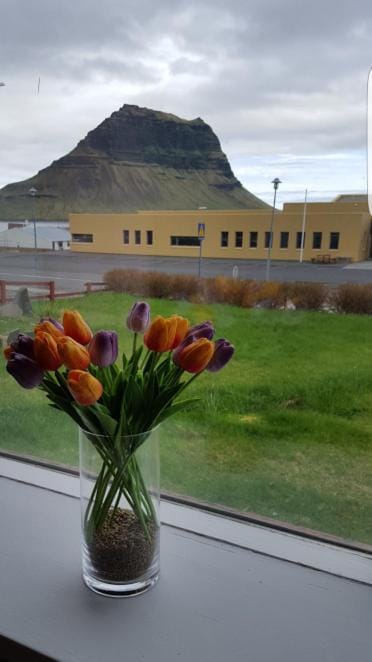 Guesthouse 43 Free parking Bed and Breakfast in Iceland