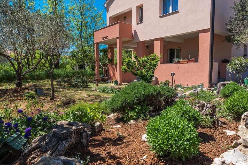 Garden view
