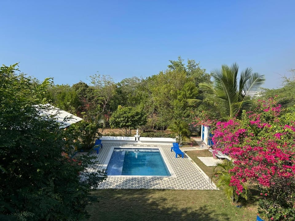 Garden view