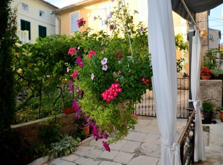 Property building, Patio, Garden, Garden view