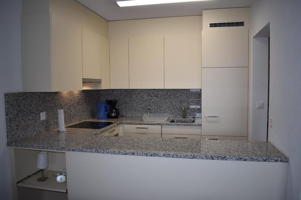 Astoria (105 Sh) Apartment in Lantsch/Lenz