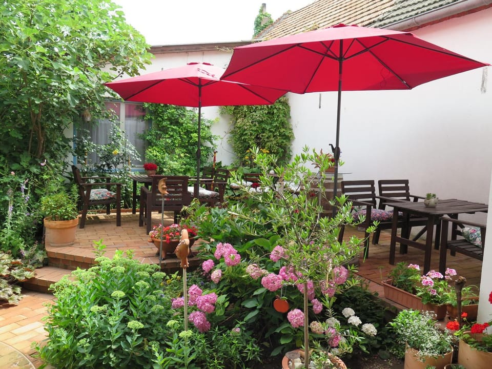Property building, Patio, Garden view