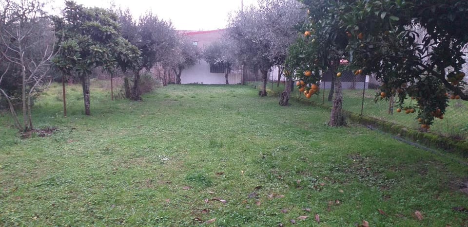 Garden, Inner courtyard view