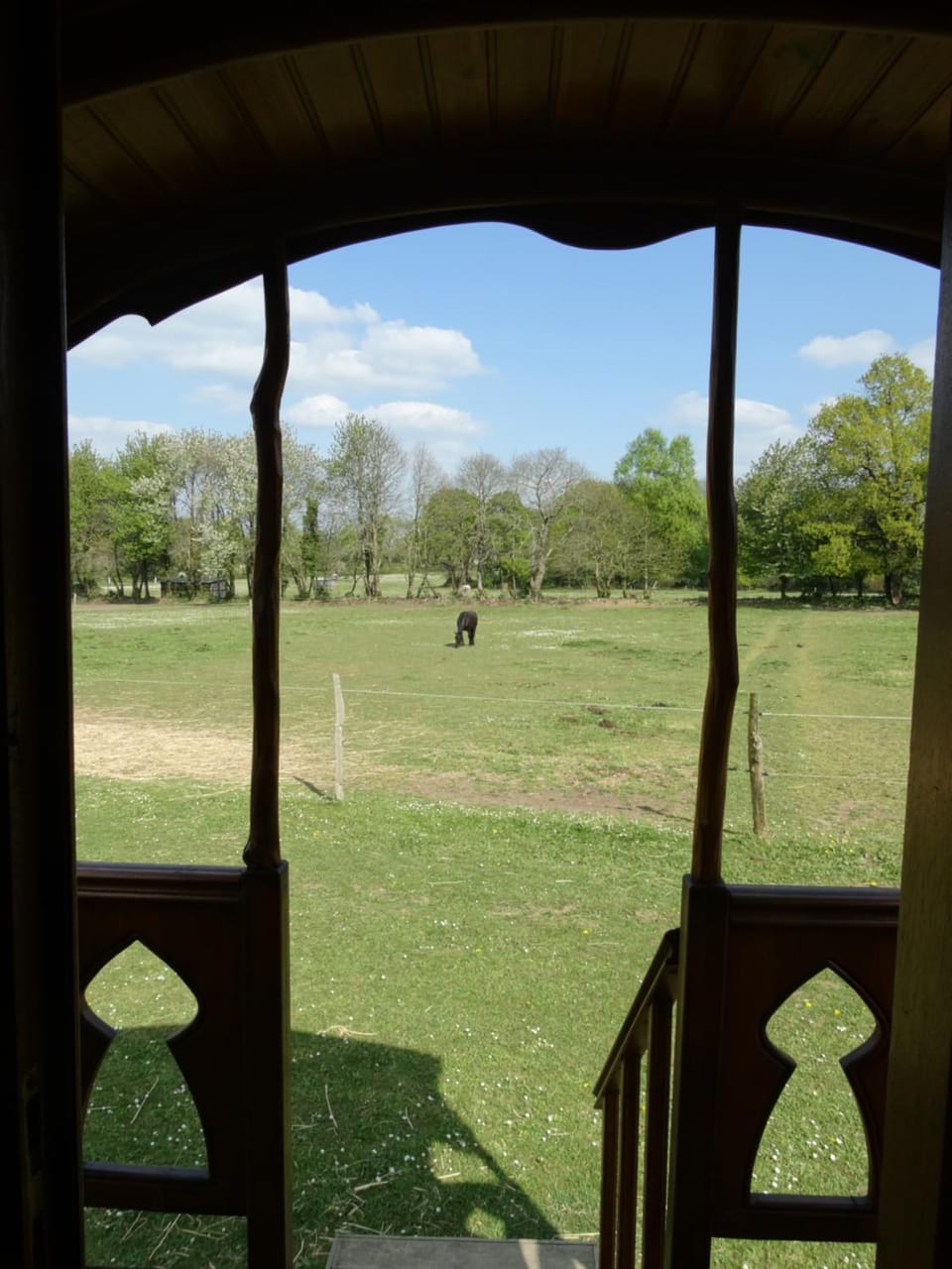 Garden view