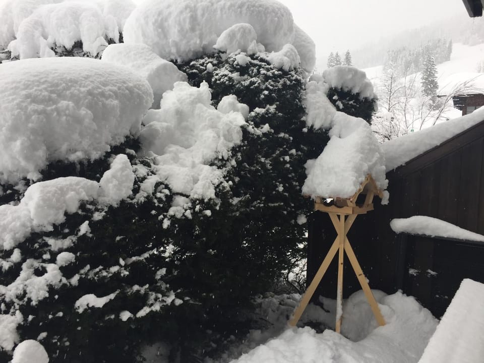 Property building, Winter, On site