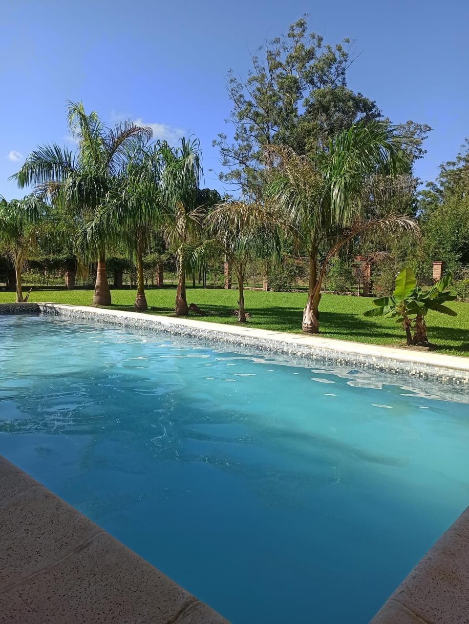 Day, Natural landscape, Garden, Garden, Garden view, Pool view, Swimming pool
