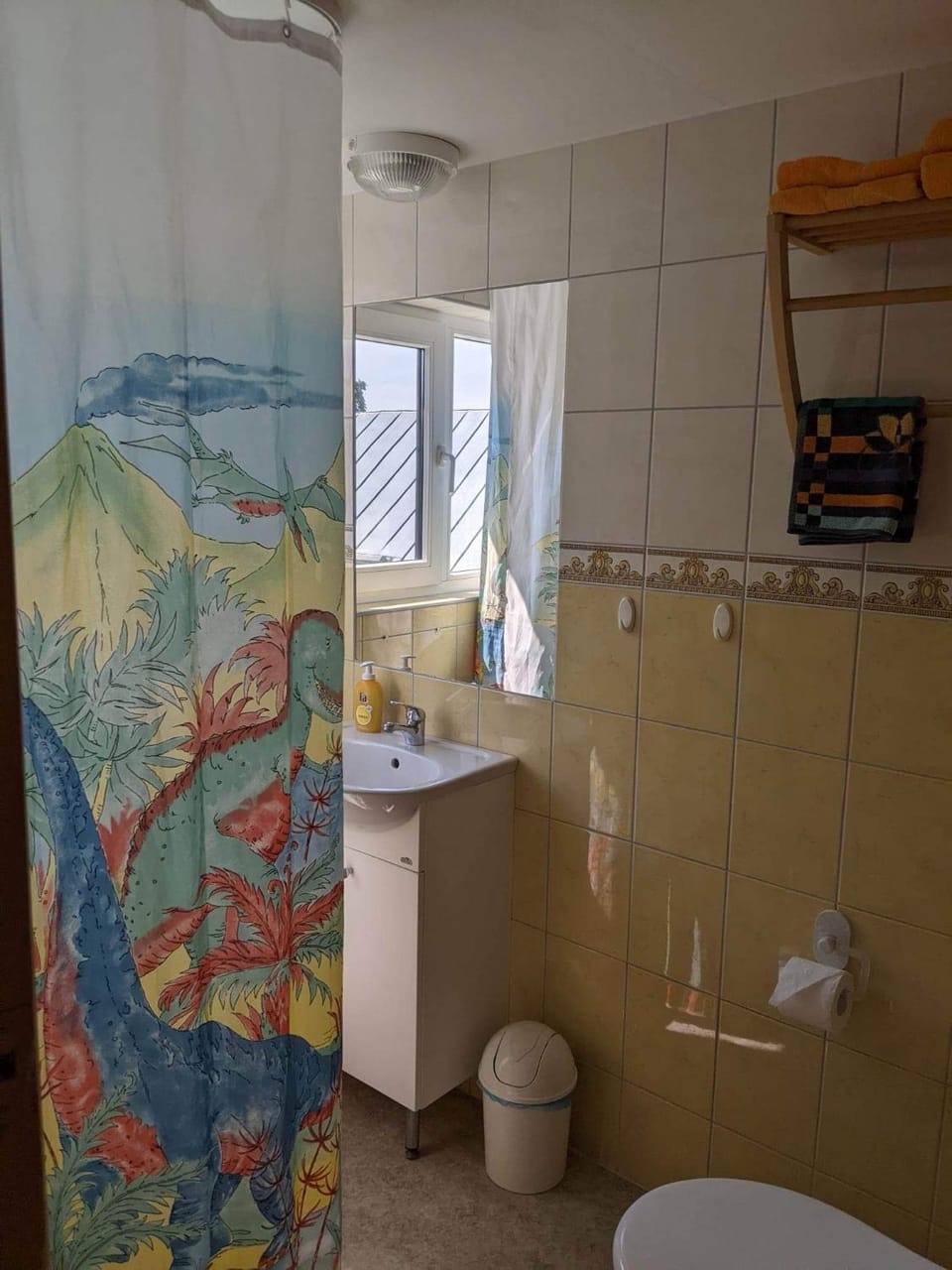 Shower, Toilet