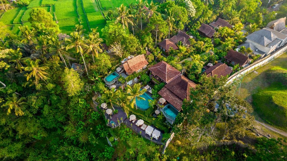 Property building, Neighbourhood, Natural landscape, Bird's eye view, Garden, Garden view