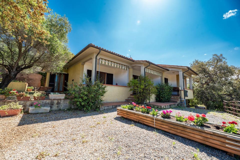 Property building, Garden view