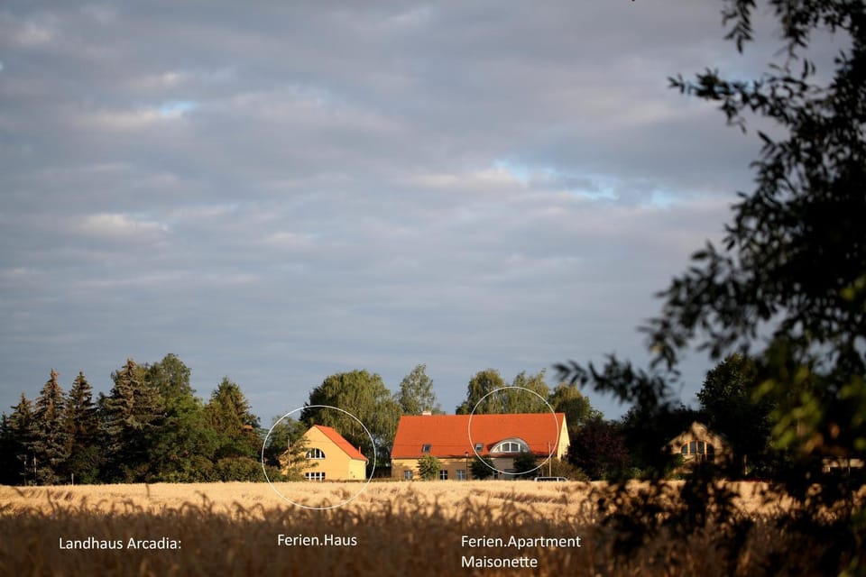 Property building, Day