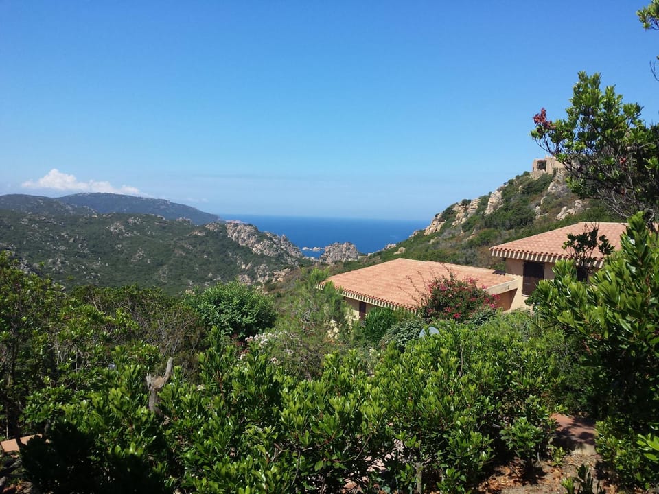 Patio, Sea view