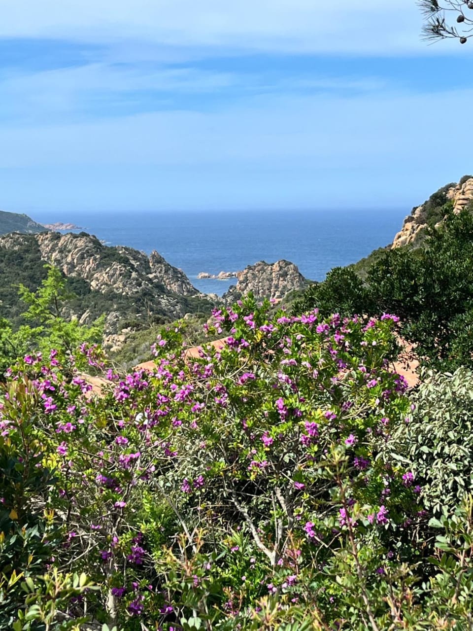 Villino Mamy House in Sardinia