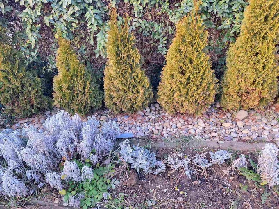 Jezero Apartment in Serbia