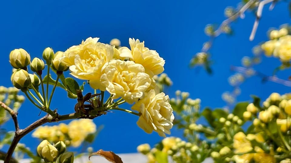 L'Intemporel Hotel in La Cadière-d'Azur