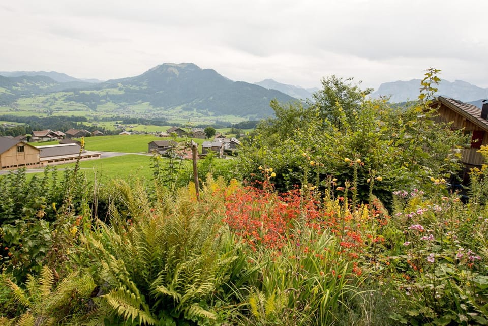 Natural landscape