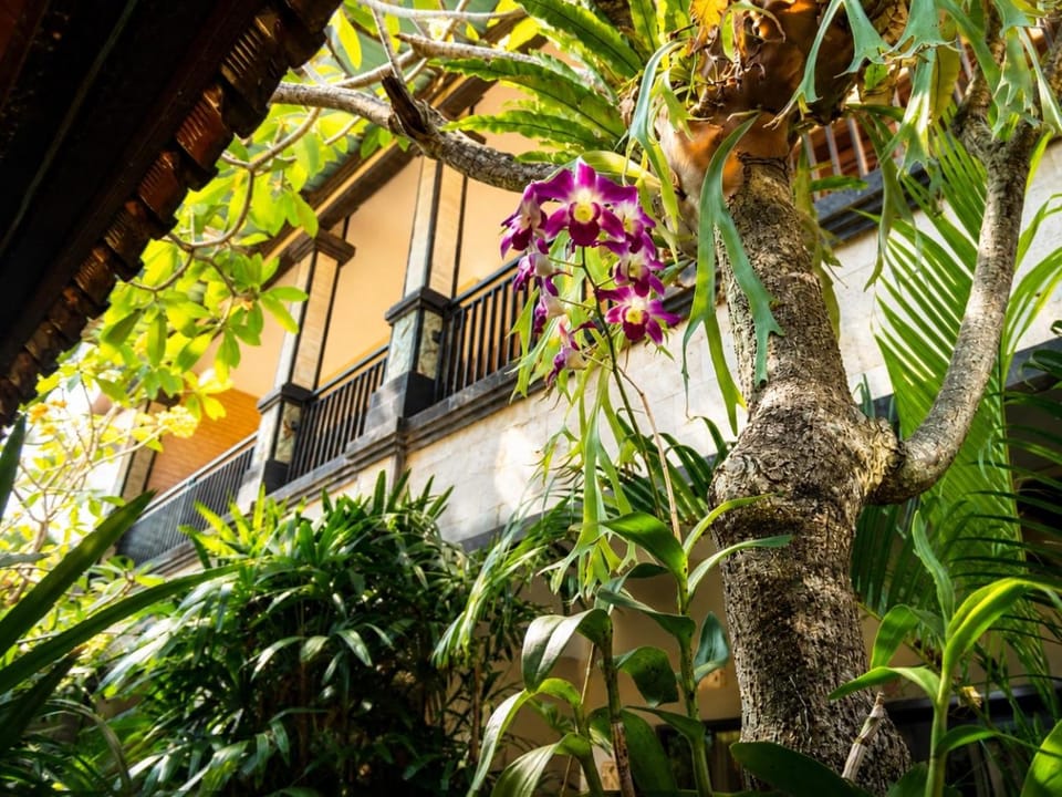 Dwiputra Guest House Bed and Breakfast in North Kuta