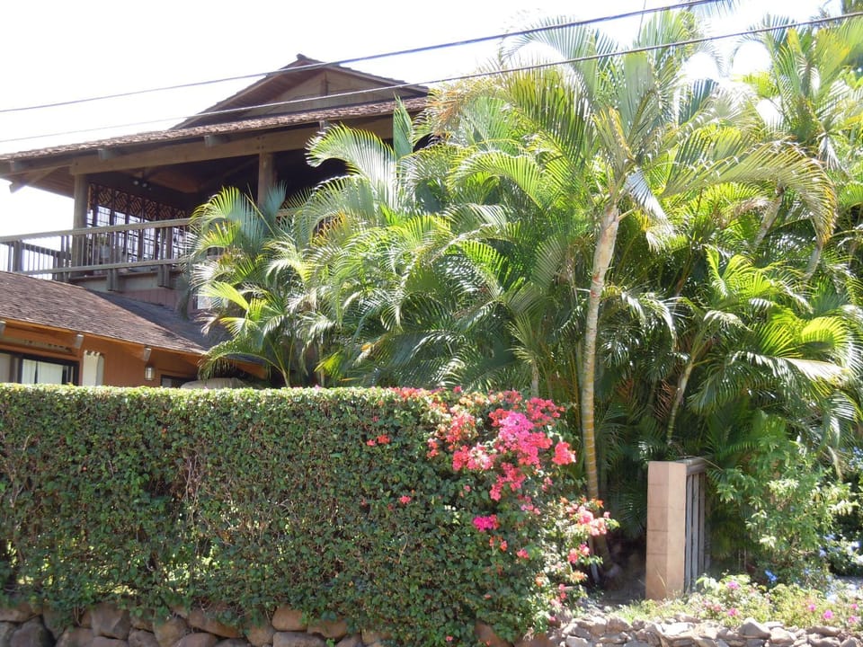 Property building, Day