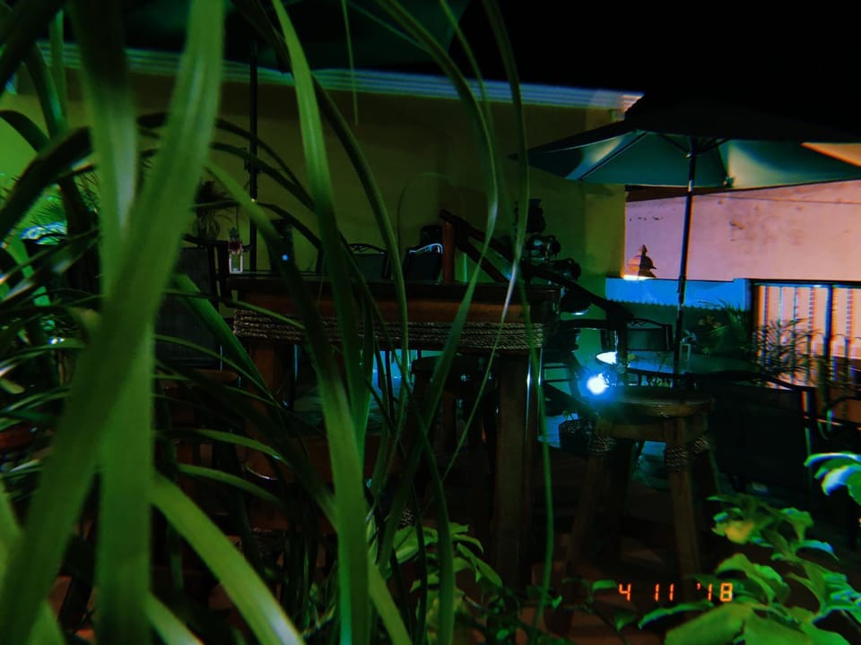 Patio, Night, Garden, Garden view