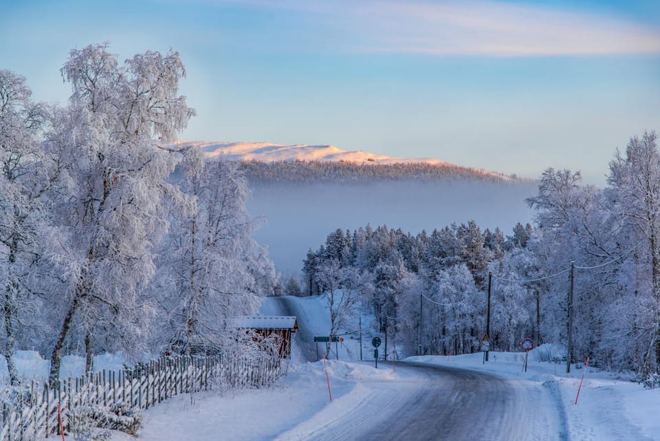Winter
